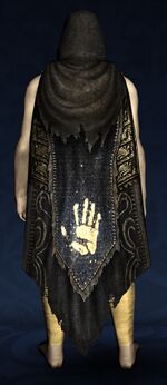 Hooded Repurposed Cloak of the White Hand