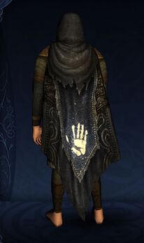 Hooded Repurposed Cloak of the White Hand