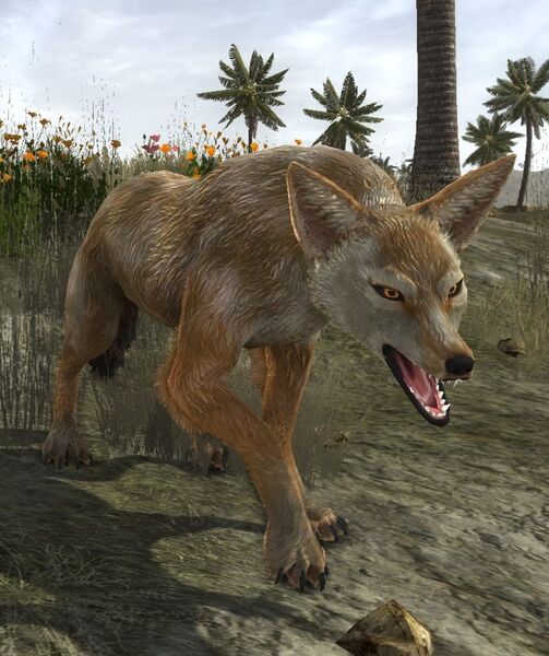 File:Salt-land Pack-leader.jpg