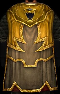 Trapper's Faded Cloak