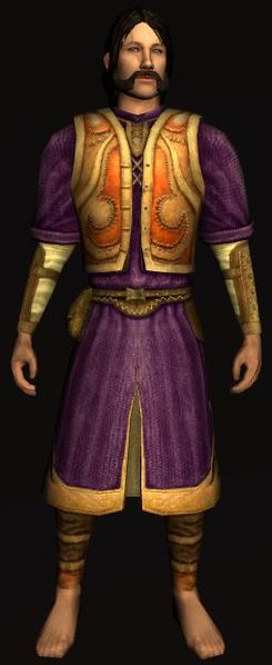File:Elven Cloth Robe 2 Purple.jpg