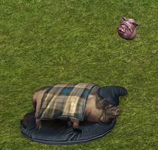 Pig in a Blanket 2