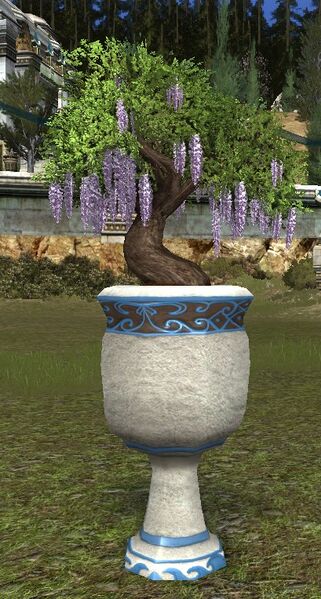 File:Seaside Wisteria Planter.jpg