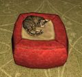 Cat on a Cushion
