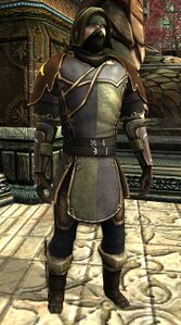 Image of Dol Amroth Quartermaster (Hunter Armour)