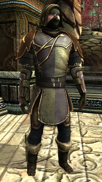 File:Dol Amroth Quartermaster - Thindaith - (Hunter Armour).jpg