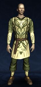 Tunic and Leggings of Budding Spring