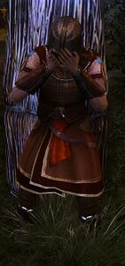 Image of Displaced Warrior