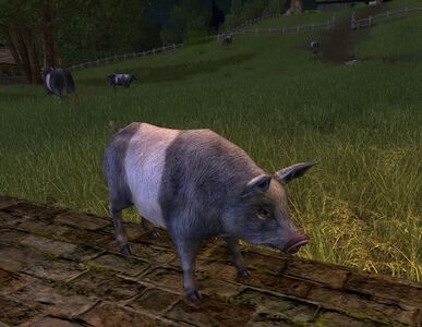Striped Pelennor Pig