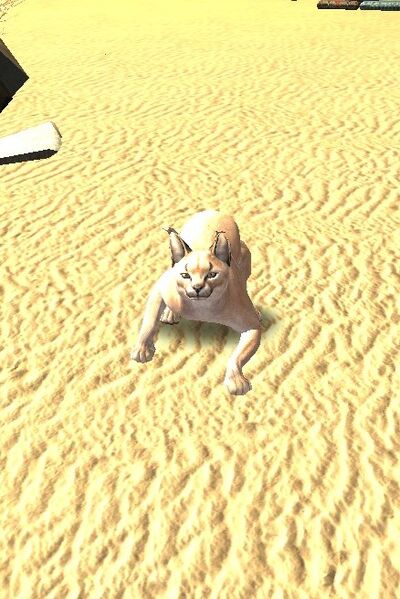 File:Ordâkhai Battle-cat (Dun Shûma).jpg