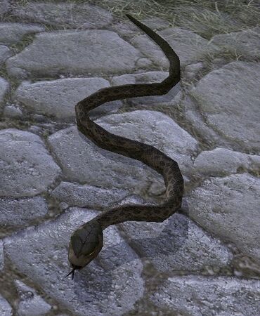 Pebbled Snake
