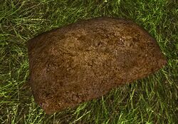 Image of Tilled Soil