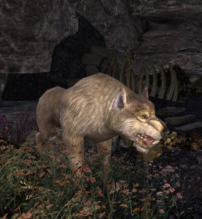 Bloodhollow Warg - Lotro-Wiki.com