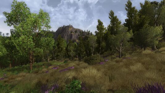 The eastern border with the Weather Hills