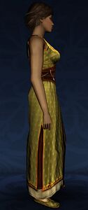 Summer Dress (Sleeveless)
