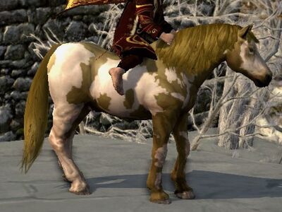 Overo Coat: Dark Bay