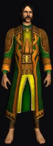 Long Dwarf-make Robe - Forest Green dye
