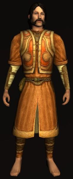 File:Elven Cloth Robe 2 Orange.jpg