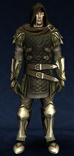 Frayed Heavy Delving Armour