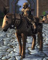 Image of War-steed of the Golden Lion
