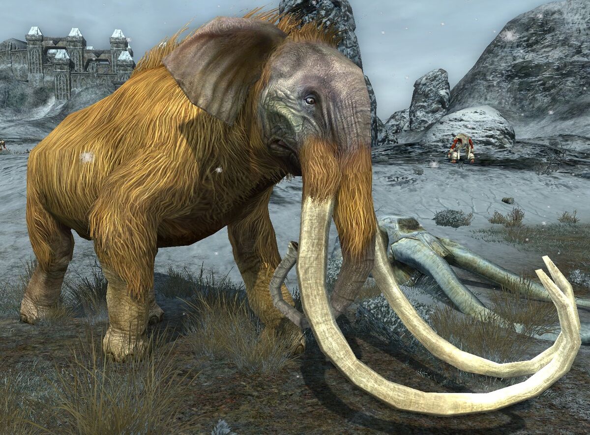 Great Winter Tusk Lotro Wiki