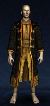 Reveller's Robe of the Odogil