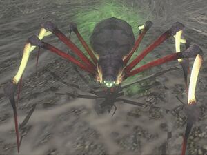 Venomous Spiderling.jpg