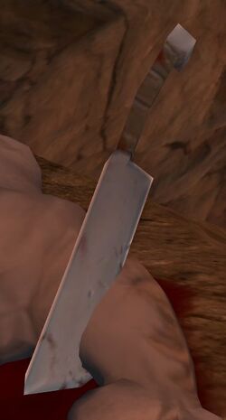 Image of Butcher's Knife