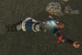 Thumbnail for version as of 12:08, 6 June 2025