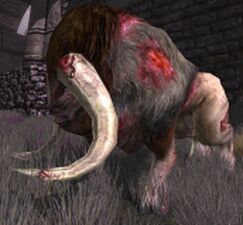 Some Ancient Hoar-mantles are bloody and torn.