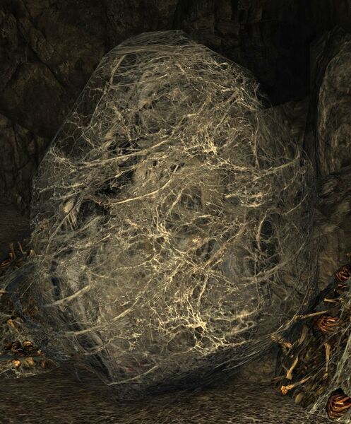File:Still Cocoon.jpg