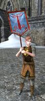 Elvish Swordswoman Herald of War