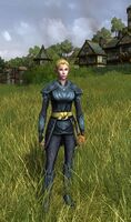 Elvish Huntress