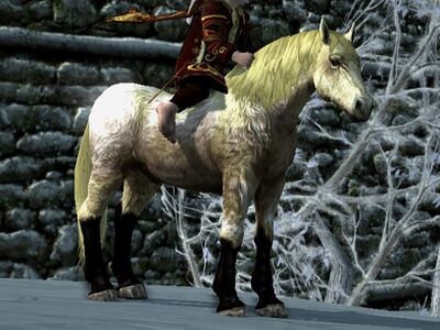 Shaggy Roan Coat: Blond