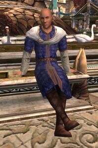 Image of Dol Amroth Quartermaster (Brawler Armour)