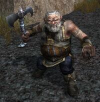 Dourhand Armsman Lotro Wiki Com