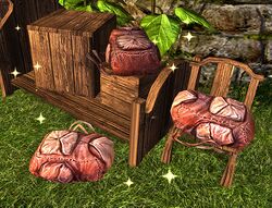 Image of Packs