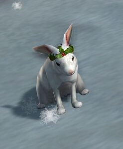 Yule Princess Bunny