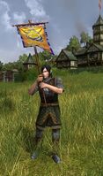 Elvish Warrior Herald of Victory