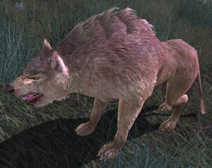 Warg Scavenger - Lotro-Wiki.com