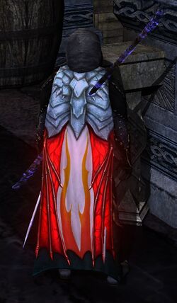 Ceremonial Wyrmscale Wizard's Cloak appearance