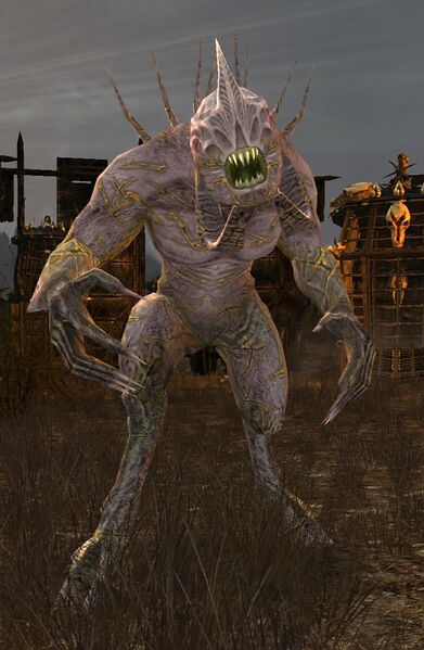 File:Disobedient Faceless.jpg