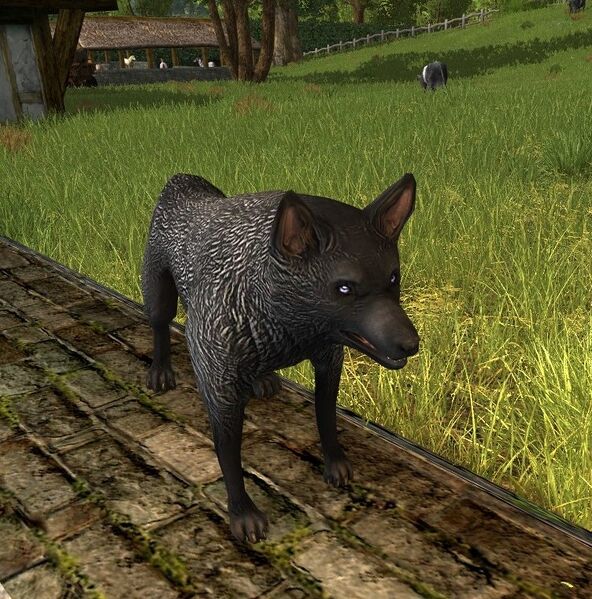 File:Black Marble Wolf-dog.jpg