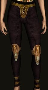Ceremonial Wandering Bard's Leggings