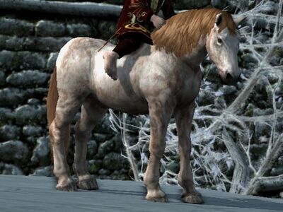 Fleabitten Coat: Blood Bay