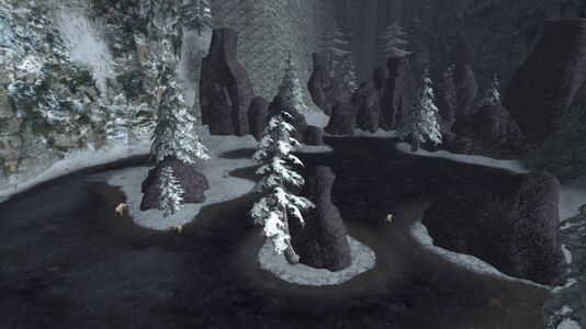 The bear-pool