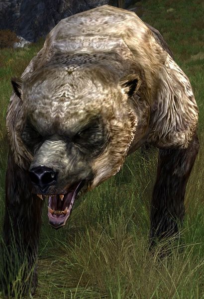 File:Norcrofts Field-bear.jpg