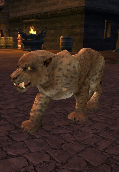 File:Battle-cat (Talath Úrui).jpg