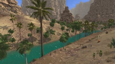 The river provides nourishment for plenty of palm trees, shrubs and cacti.