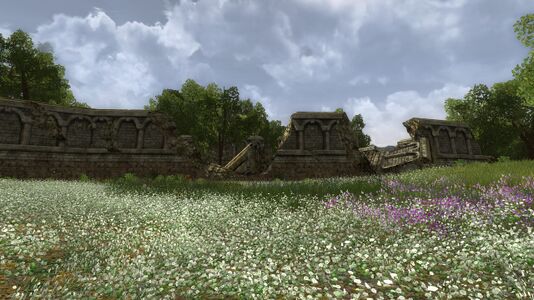 Flowers bloom outside the walls of Ost Baranor